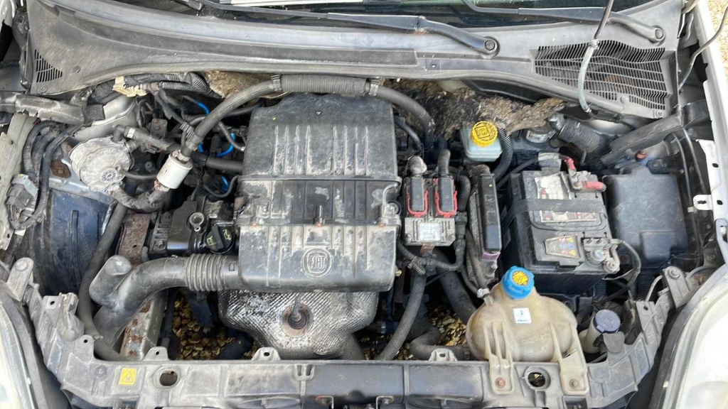 Fiat Punto Evo 2011 rok Ochota - zdjęcie 5