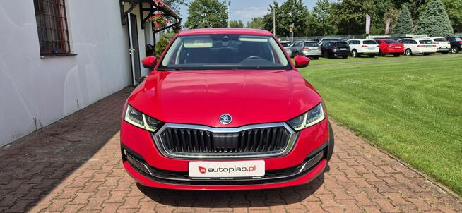 Škoda Octavia SALON PL-STYLE-VIRTUAL-SERWIS Paproć - zdjęcie 2