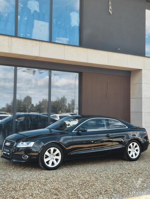 A5 2.0 TDI 170 KM hak SKÓRA xenon NAVI klima SERWIS 2010 Tychy - zdjęcie 5