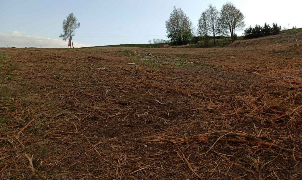 Działka rolno-budowlana (5600m2) ul. Leśna MEDIA (Tuchów) Tuchów - zdjęcie 7
