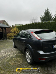 Ford Focus Telefon: 883_116_729 Lokalizacja: Tłuchowo Tłuchowo - zdjęcie 4