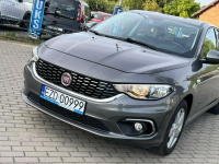 Fiat Tipo *Ekonomiczny*Diesel*Niski Przebieg* Zduńska Wola - zdjęcie 3