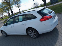 Insignia 2010 Diesel Słupca - zdjęcie 7