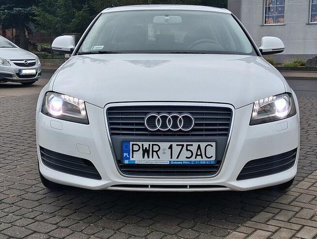 Audi A3 1.6 102 KM Salon Polska TYLKO 106000 KM Przebiegu Kl Słupca - zdjęcie 3
