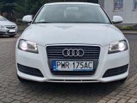 Audi A3 1.6 102 KM Salon Polska TYLKO 106000 KM Przebiegu Kl Słupca - zdjęcie 3