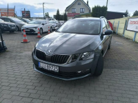 Škoda Octavia 1.6 TDi 116KM Klimatronic Navi Łuków - zdjęcie 10