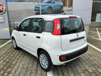 Fiat Panda 1,0 70KM - ICON Lublin - zdjęcie 5