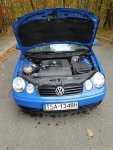 Vw polo 1.2 1wlasciciel w Polsce niski przebieg Sandomierz - zdjęcie 5