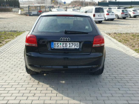 Audi A3 2.0tdi 140KM Skóra Klima Alu17 Raty Zamiana. Strobice - zdjęcie 7