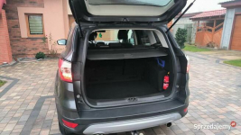 Ford Kuga OKAZJA (niska cena)1,5 benzyna 150KM manual Grąbków - zdjęcie 11