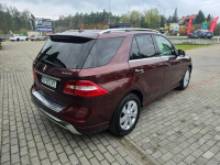 Mercedes ML 350 4Matic Ostrołęka - zdjęcie 5
