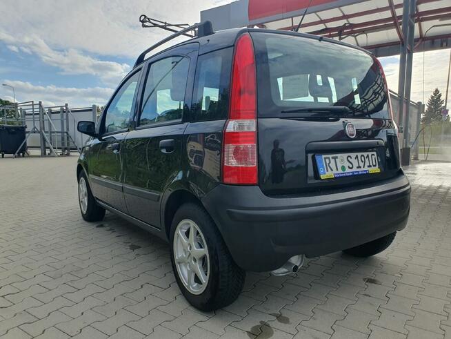 Fiat Panda 1.2 2008 z panoramą Turek - zdjęcie 6
