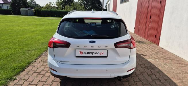 Ford Focus OPONY-MEDIA-ASYSTENT PASA Paproć - zdjęcie 6