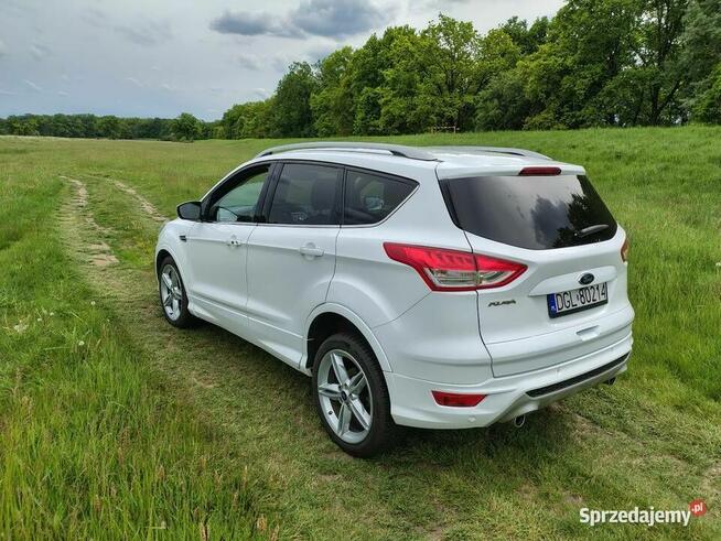 Ford Kuga MK2 diesel 2.0 TDCi 163 konie Leszkowice - zdjęcie 5
