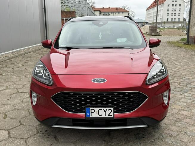 Ford Kuga TITANIUM 2.5 hybrid Skóra Automat Panorama Headup Kamera Koszalin - zdjęcie 7