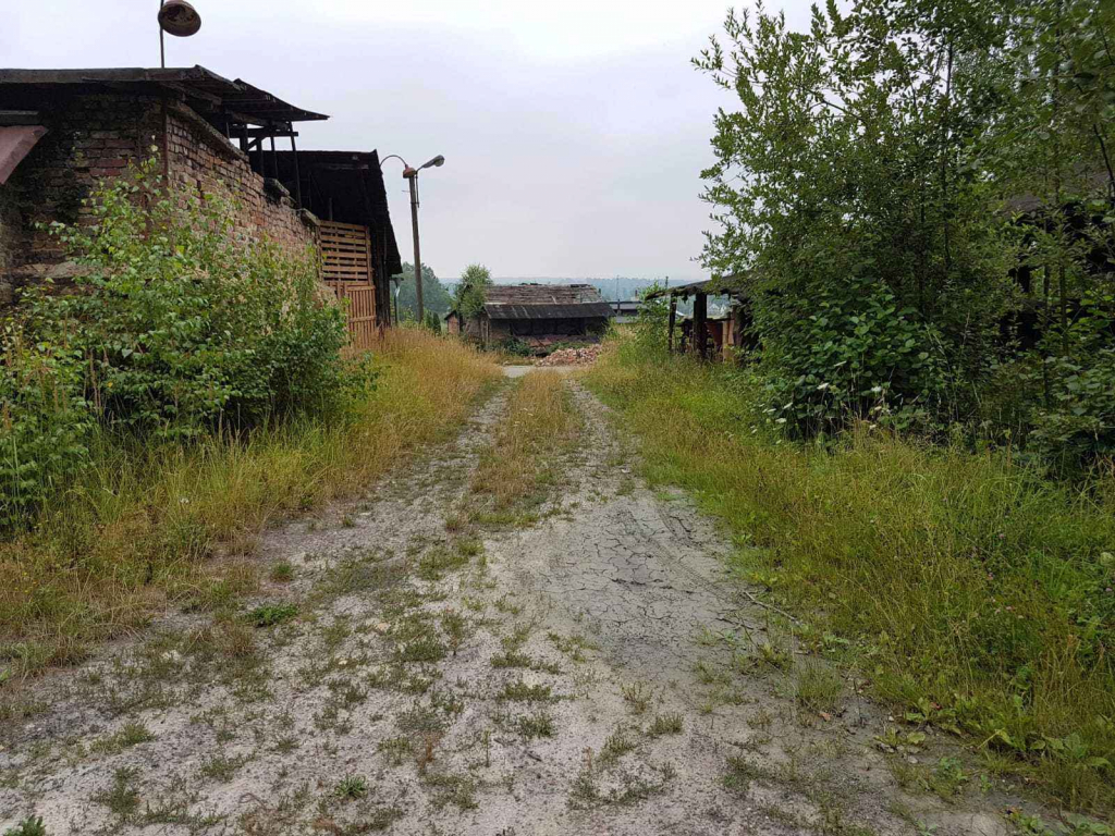 Dz. Inwestycyjna (31622 m2) ze starą cegielnią (Kościelnik) Kościelnik - zdjęcie 4