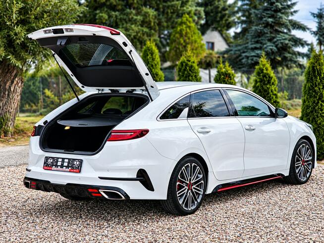 Kia Pro Cee'd Sadlno - zdjęcie 10