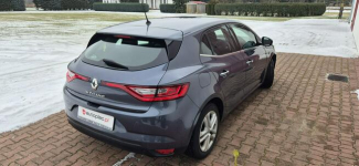 Renault Megane LED Paproć - zdjęcie 7