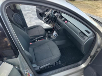 Sprzedam Marianki - zdjęcie 9