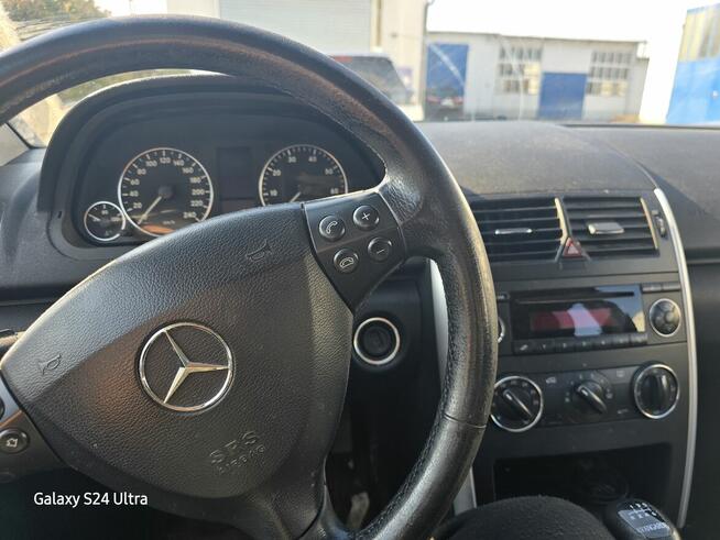 Mały wariacik Nakło nad Notecią - zdjęcie 2