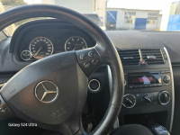 Mały wariacik Nakło nad Notecią - zdjęcie 2