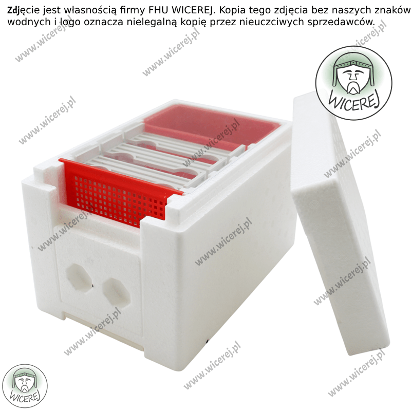 Ul Weselny Ulik Weselny polipropylenowy 3 ramkowy niemalowany Jaśliska - zdjęcie 10