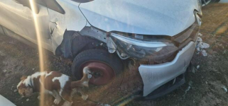 Renault Captur 1.5 dci 150tyskm Pleszew - zdjęcie 7