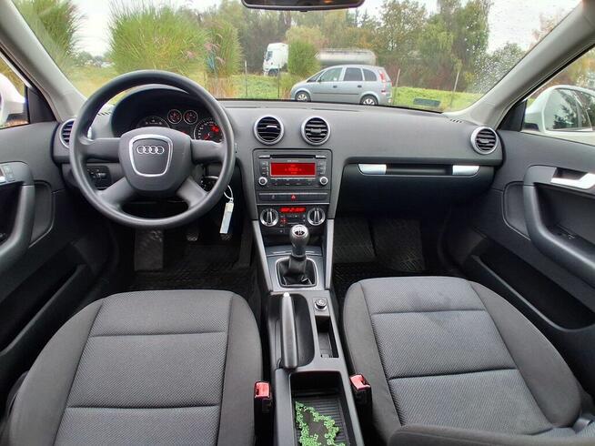 Audi A3 1.6 102 KM Salon Polska TYLKO 106000 KM Przebiegu Kl Słupca - zdjęcie 10