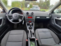 Audi A3 1.6 102 KM Salon Polska TYLKO 106000 KM Przebiegu Kl Słupca - zdjęcie 10