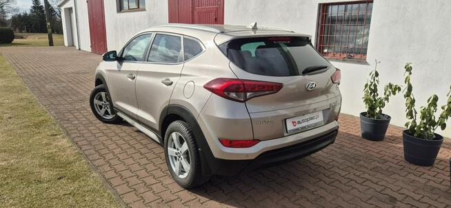 Hyundai Tucson MEDIA-BLUETOOTH Paproć - zdjęcie 6