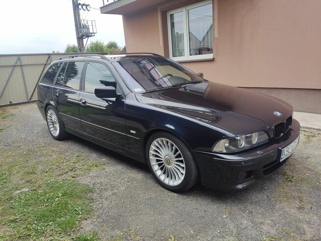 BMW e39 530d Individual MPakiet Polift Wapiennik - zdjęcie 1