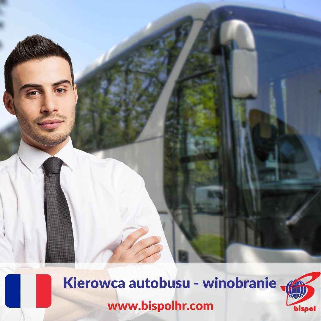 Praca dla kierowców autobusu/busa kat. D - Francja winobranie Jasło - zdjęcie 1