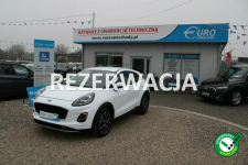 Ford Puma Titanium Kamera Automat Nawigacja Salon PL