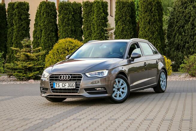 Audi A3 122KM Bi-Ksenon Ledy Navi Lift Podgrzewane Fotele Tempomat Ostrów Mazowiecka - zdjęcie 12