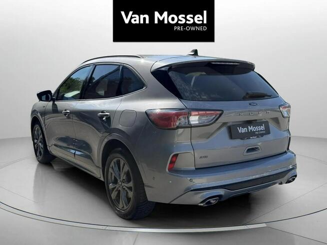 Ford Kuga Sadlno - zdjęcie 8