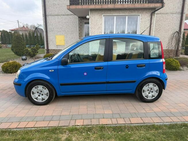 Fiat Panda Klimatyzacja bezwypadkowy !!! Rzeszów - zdjęcie 11