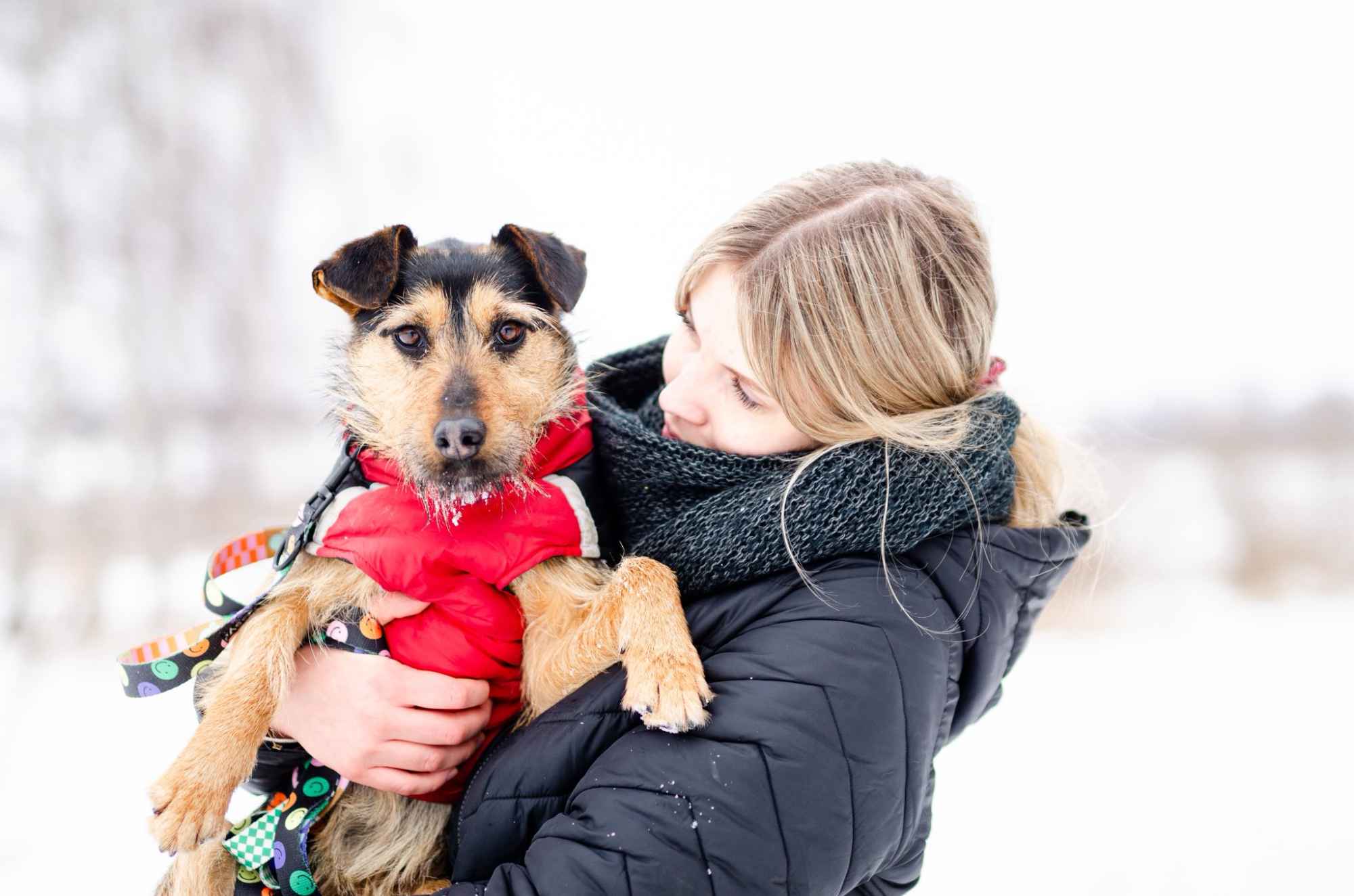 Roxi - młoda, niekonfliktowa, niewielka suczka Olsztyn - zdjęcie 3