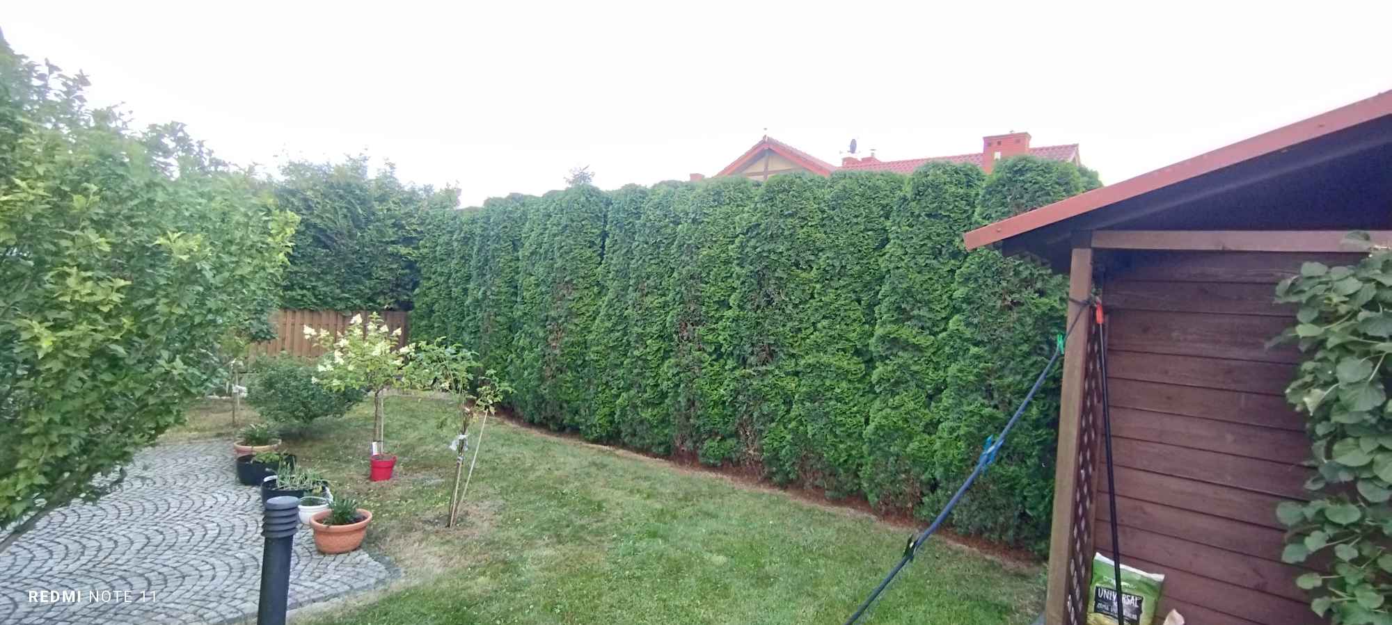 usługi ogrodnicze 731955365 Nowy Sącz - zdjęcie 1