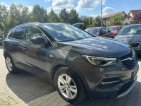 Opel Grandland X ELITE+ / BEZWYPADKOWY / NOWY ROZRZĄD Poznań - zdjęcie 8