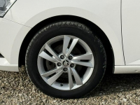 Škoda Fabia 1.0MPI 60km, LPG, Ambition, Iwł, Salon PL. Serwis, FV23% Pęcice - zdjęcie 10