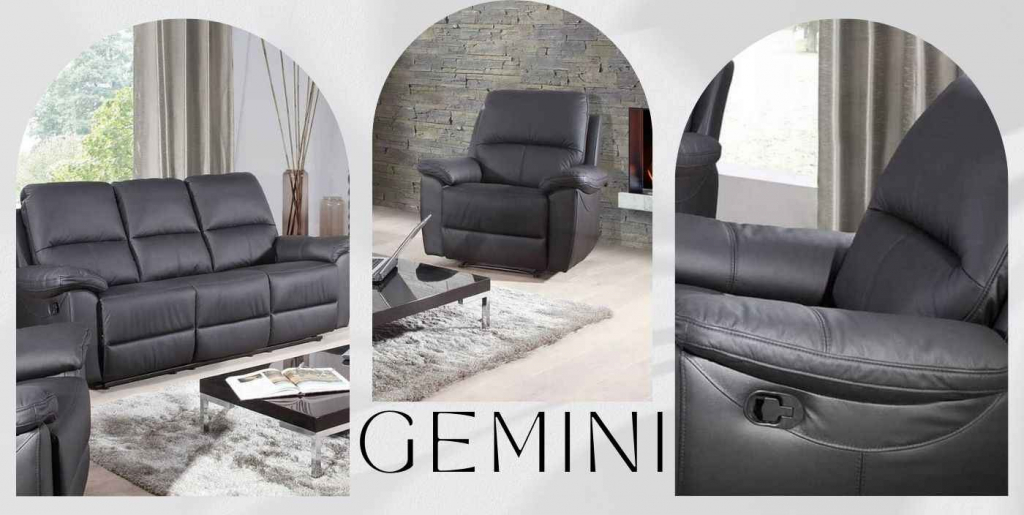 Nie przegap GEMINI duże - w super cenie Rumia - zdjęcie 4