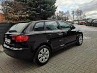Audi A3 1.9 TDI 105KM Klimatronik Elektryka  Isofix Alu Felgi 16" Strzegom - zdjęcie 5
