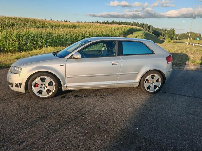 AUDI A3 8P 2005 1.6 MPI, 3d, Manual, Sprawne Lidzbark - zdjęcie 1
