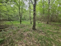 Działka inwestycyjna (3012 met) okolice Wrocławia (Ostrowina) Ostrowina - zdjęcie 2