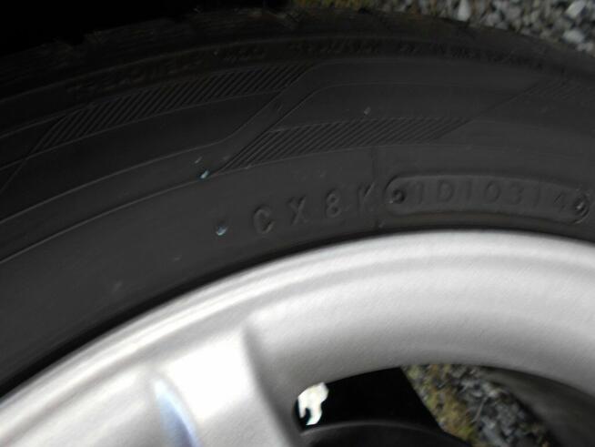 Celiica Wierzchucino - zdjęcie 8