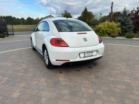 Volkswagen Beetle Lipówki - zdjęcie 9