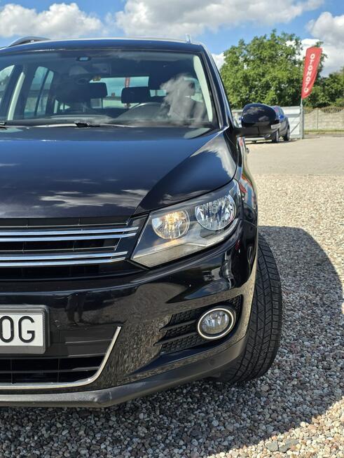 Volkswagen Tiguan 2.0 140ps TDI Alusy 16 Navi Klimatronic LIFT Gniezno - zdjęcie 5