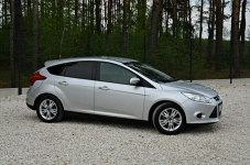 Ford Focus 1.6 16V 125KM Serwis! Idealny! Zobacz Koniecznie!!! Ostrów Mazowiecka - zdjęcie 12