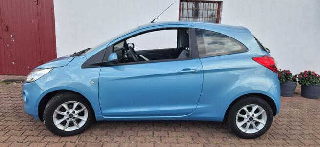 Ford KA GRZANE FOTELE Paproć - zdjęcie 4