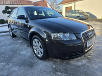 Audi A3 1,6Benzyna.Klimatronic 2 str.Tempomat.Alu.Hak.Serwis Kutno - zdjęcie 2